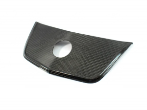 Mercedes Benz SLK Hood Central Air Intake - Carbon Fiber - R172